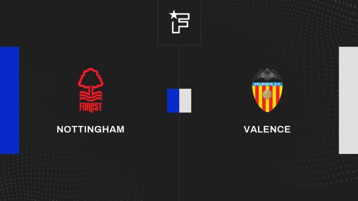 Hasil Bola Terkini: Nottingham dan Valencia Sukses Meraih Poin