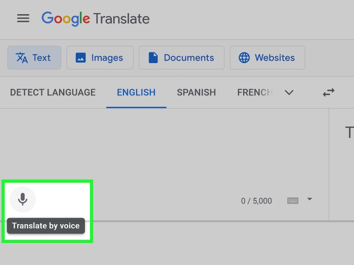 Text translate word tip